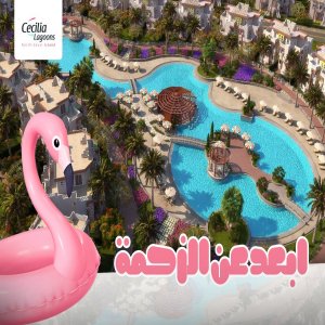 Cecilia Lagoons - Event Image 9