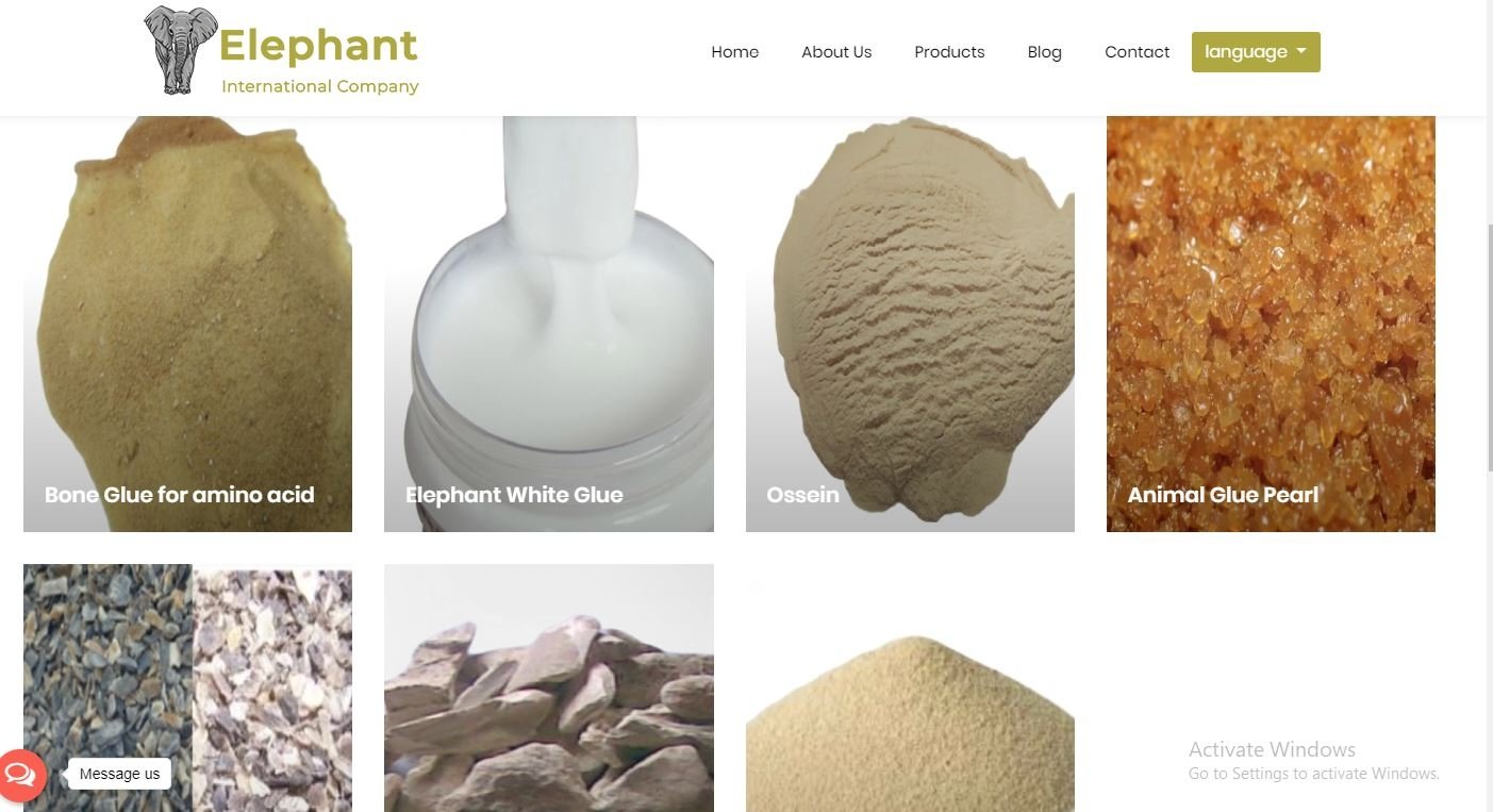 elephant-co.com - Event Image 5