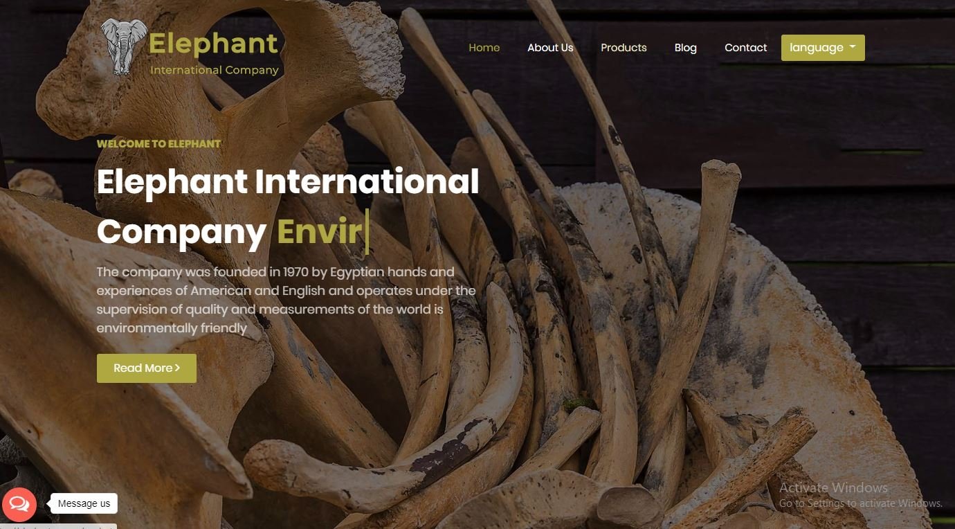 elephant-co.com - Event Image 6