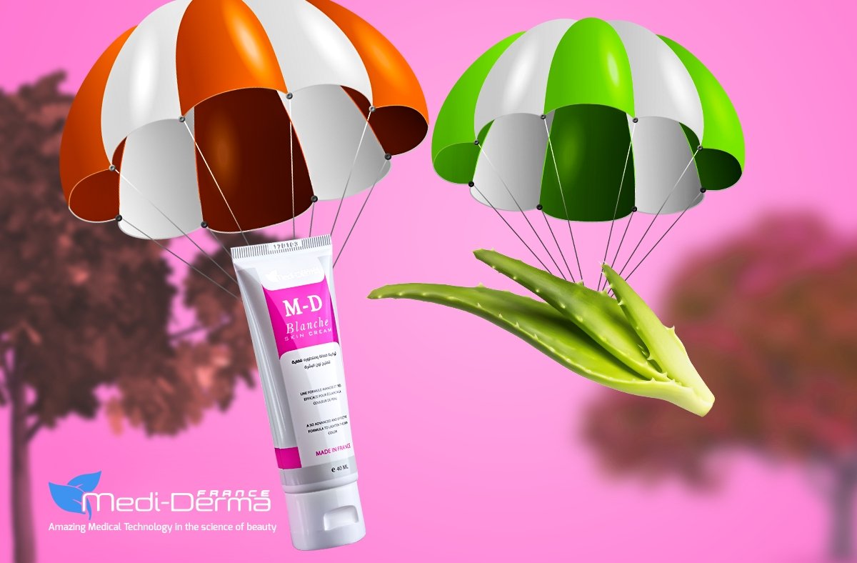 Medi Derma France - Event Image 11